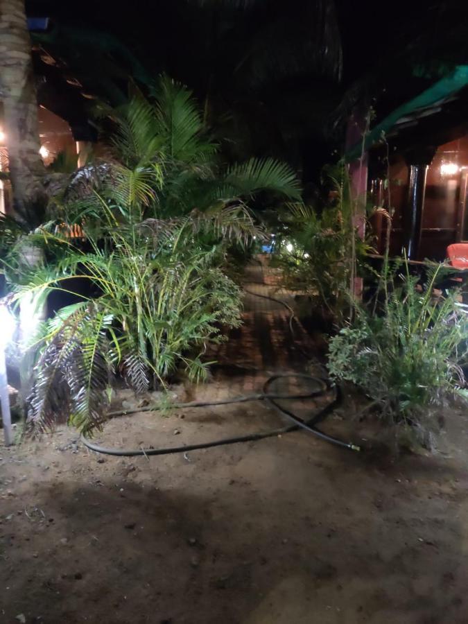 Casa Fiesta Hotel Palolem Bagian luar foto
