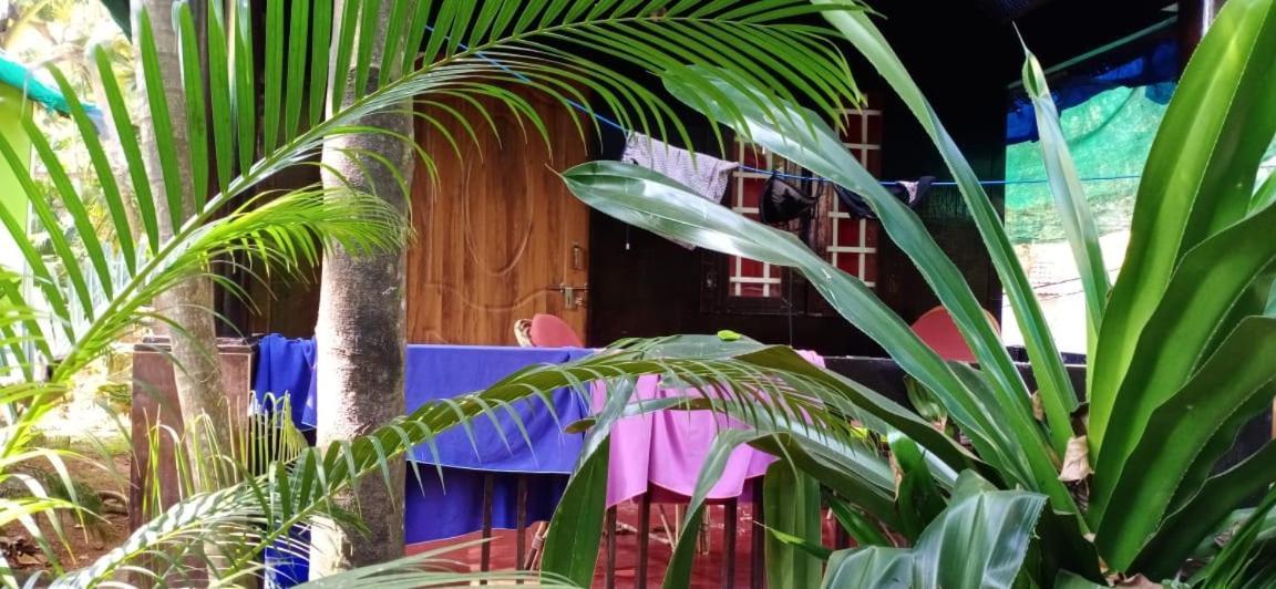 Casa Fiesta Hotel Palolem Bagian luar foto